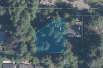 1197 Tall Tree Lane